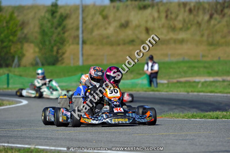 DSC_ (1727).jpg